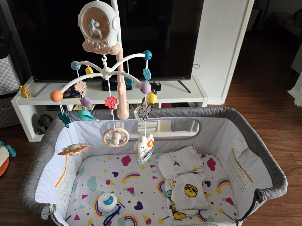JooJoo World Bassinet with Mobile