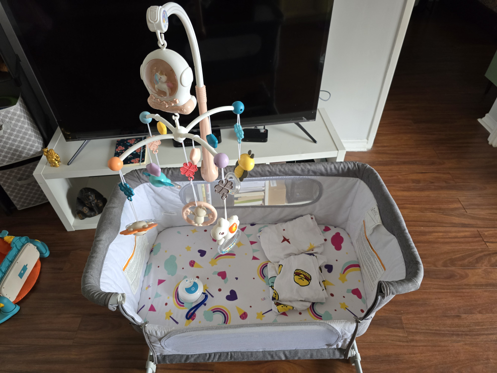 JooJoo World Bassinet with Mobile - photo 3
