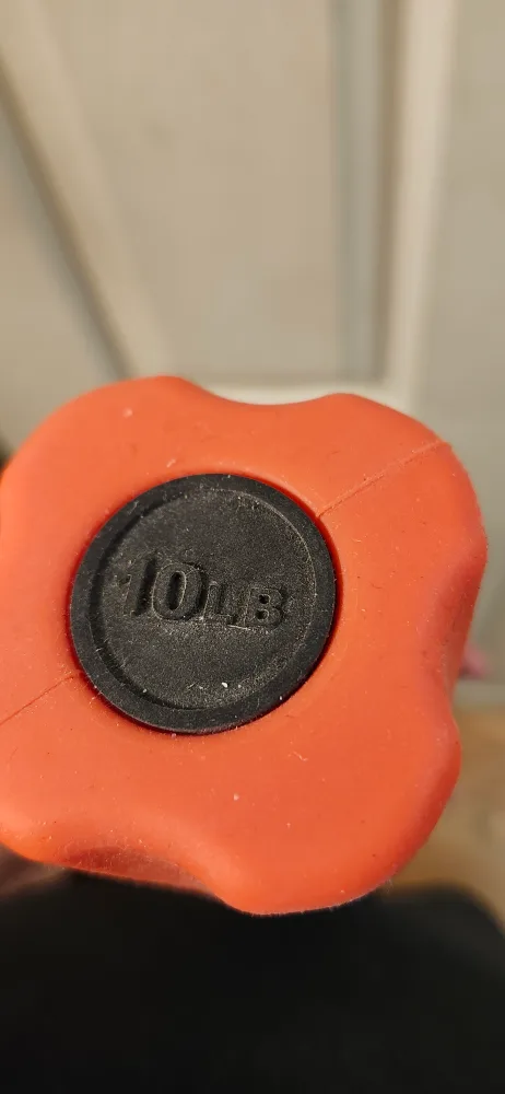 CAP Barbell 10lb Weighted Bar. price not negotiable image indicator(3)