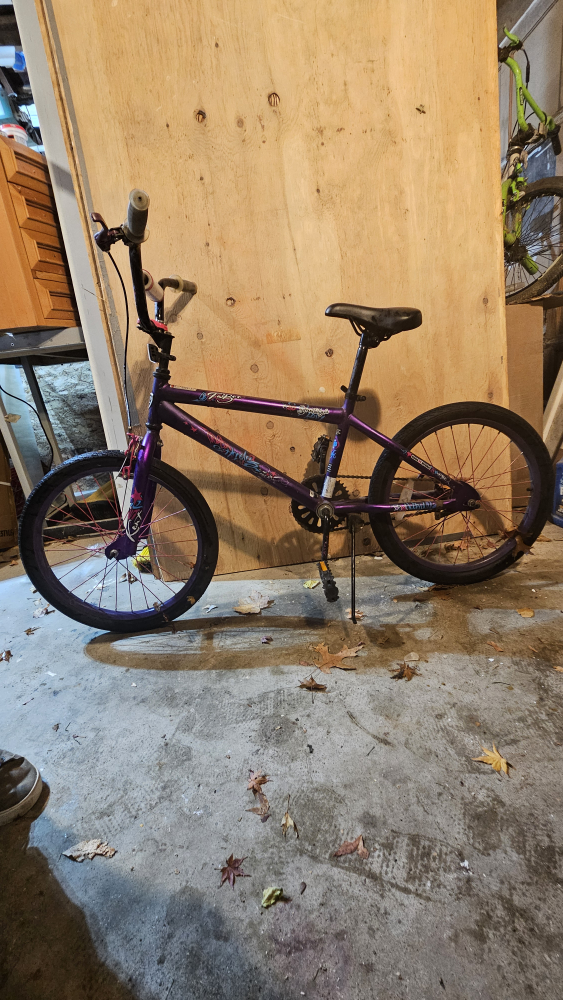 Girls Kent Tahoe 20" Bike Purple - photo 4