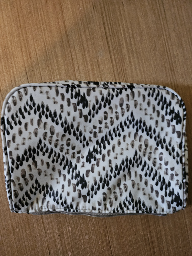 31 Cosmetic Case