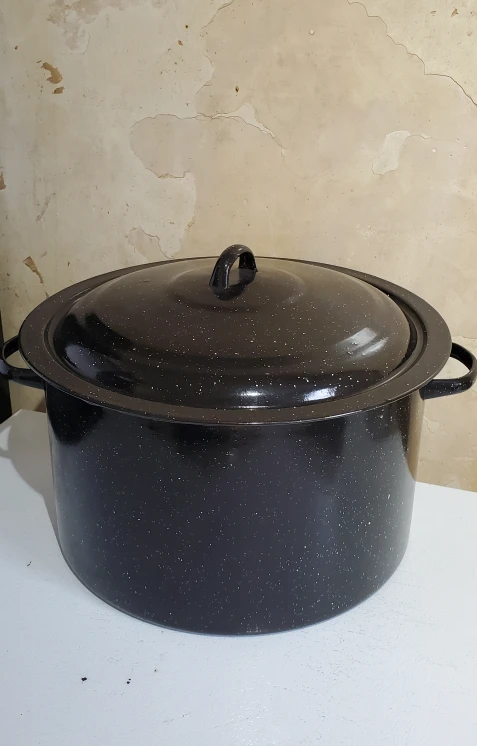Enamel Coated Carbon Steel Canning Pot, 17-L #freecycle