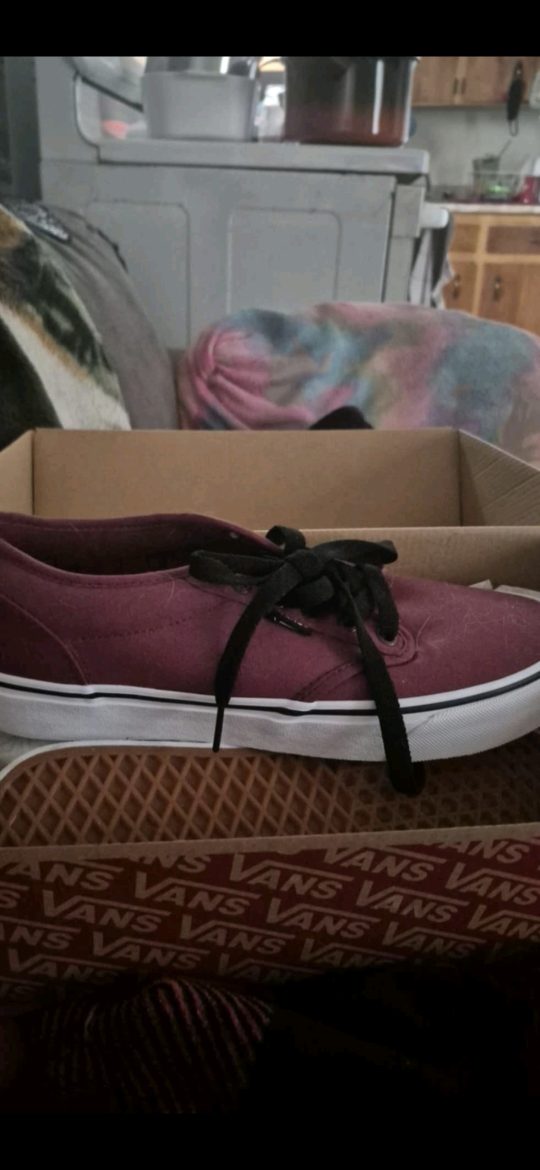 Burgundy Vans Authentic Sneakers