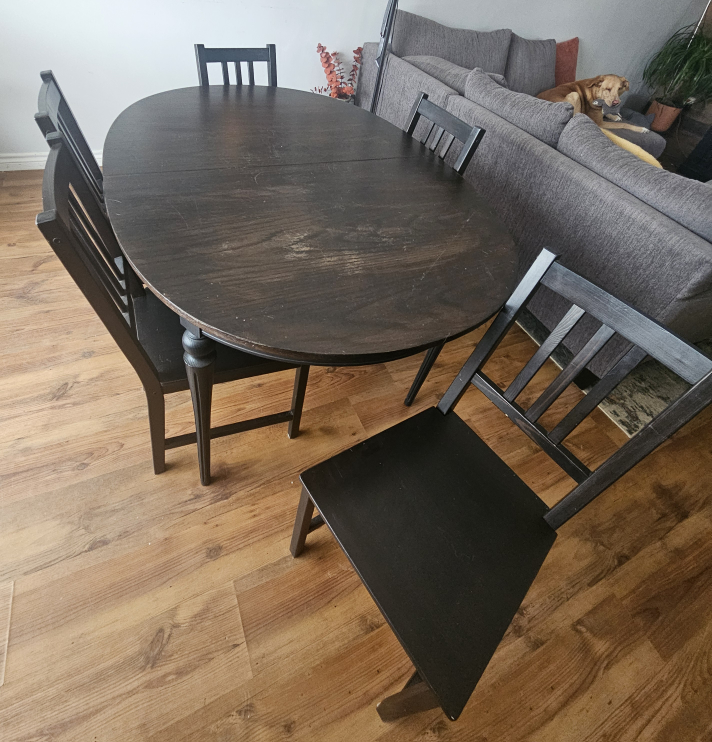 Oval Dining Table with 5 Chairs