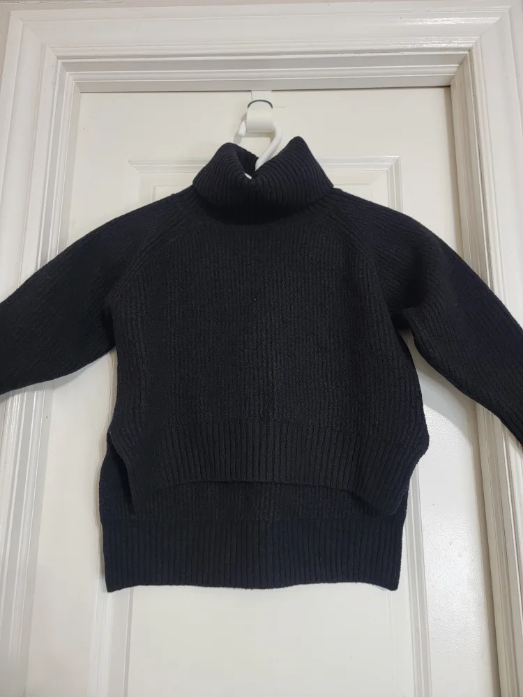 Wilfred Free Black Turtleneck Merino Wool Sweater image indicator(4)