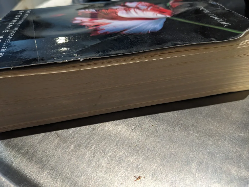 Twilight New Moon Book image indicator(3)