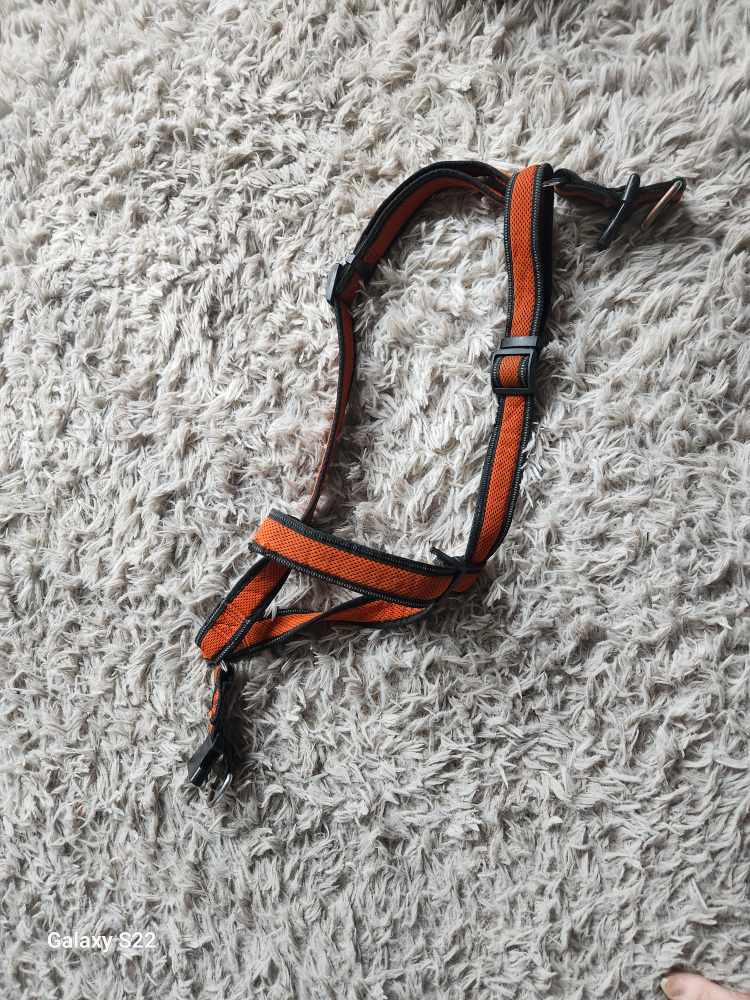 Dog Training Package: Collars, Remote, Harness & Muzzle - photo 2