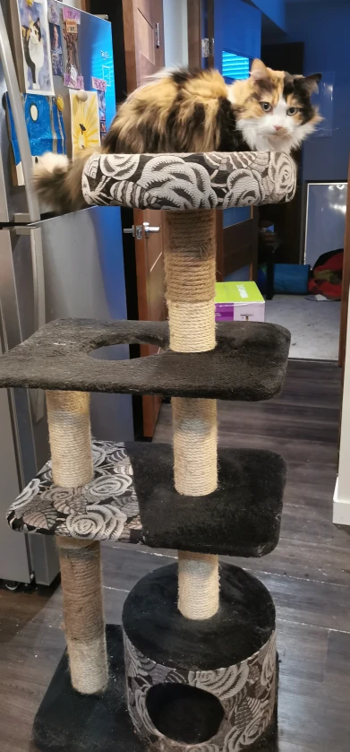 Cat Tree Condo - photo 2