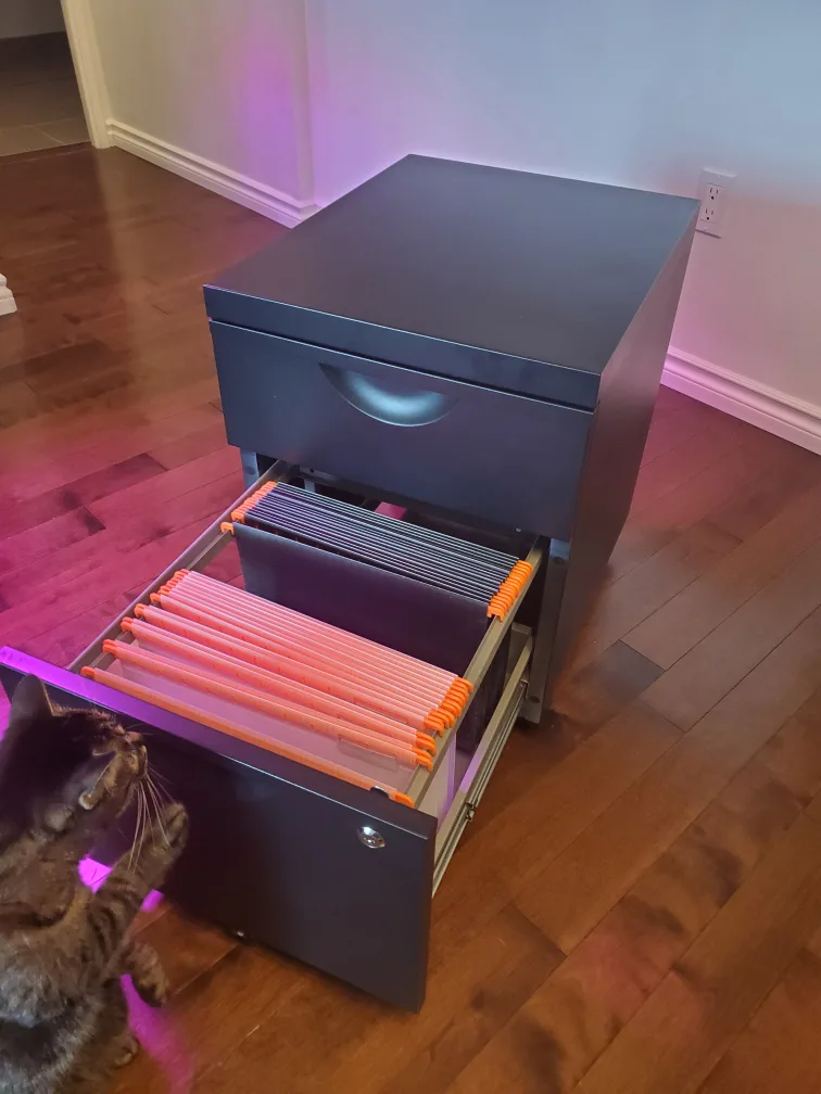 Black Metal File Cabinet with Two Drawers image indicator(2)