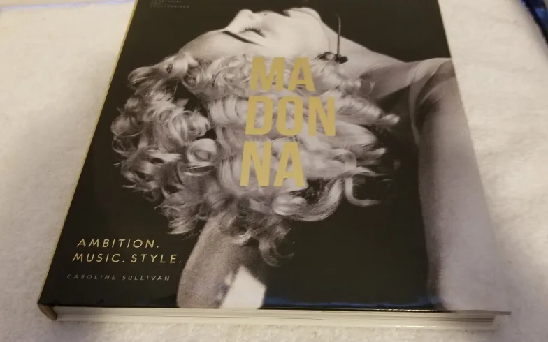 Adele & Madonna Biography Books image indicator(4)