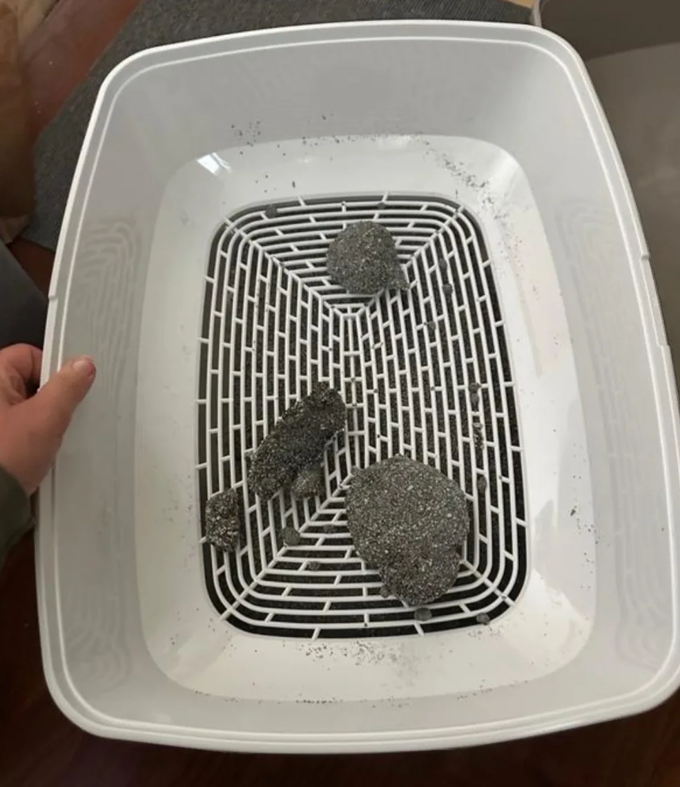 Sifting Cat Litter Box (3-Piece Set) image indicator(5)