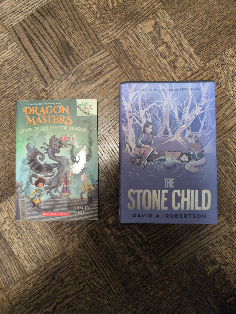 Two Children's Books: Dragon Masters & The Stone Child