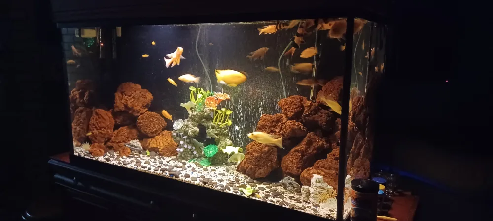 Fish Tank with Stand and Cabinet image indicator(2)