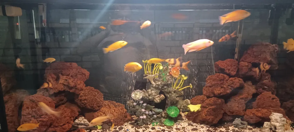 Fish Tank with Stand and Cabinet image indicator(3)