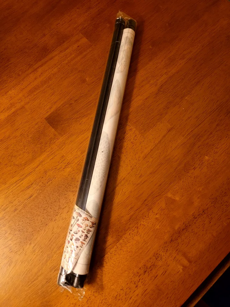 💚 Vintage Style Mushroom Chart Poster🥕 image indicator(2)