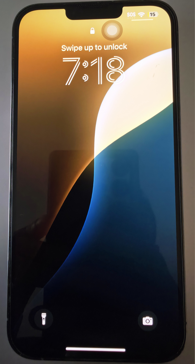 Blue iPhone 13 Pro Max (128GB) + Free Case! - photo 2