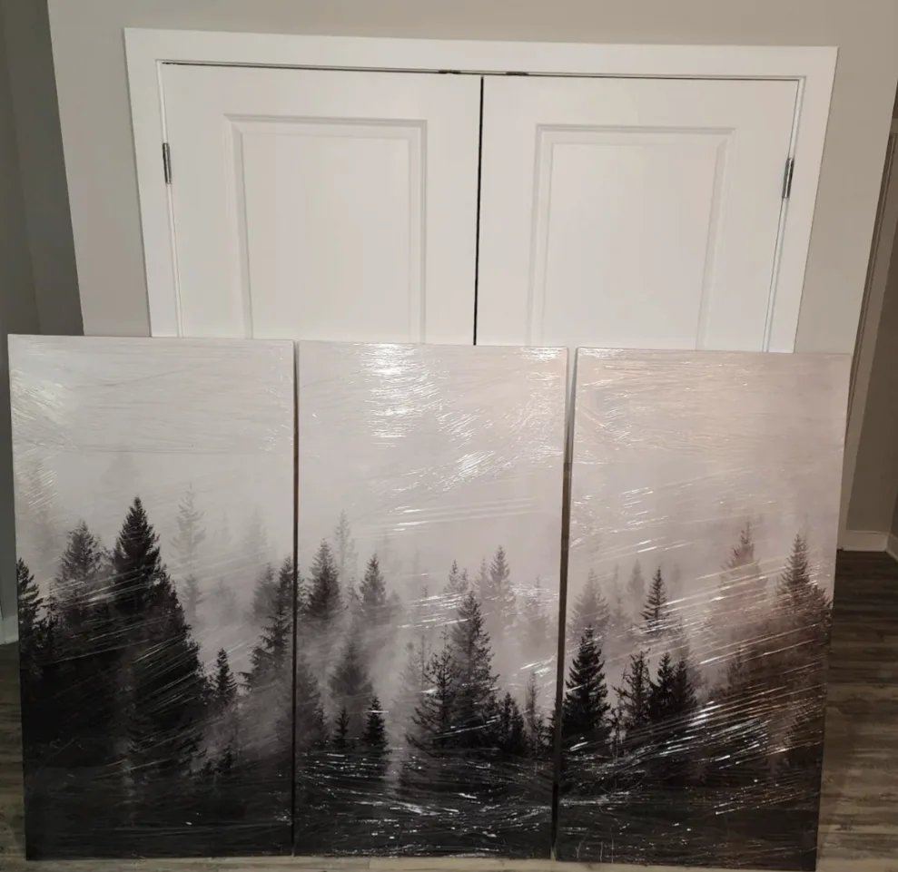 Set of 3  Canvas Wall Art 50 x 100 cm each image indicator(2)
