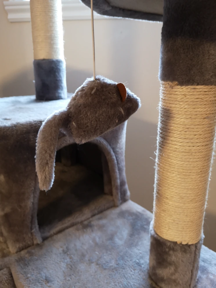 Cat Tower Tree - photo 3