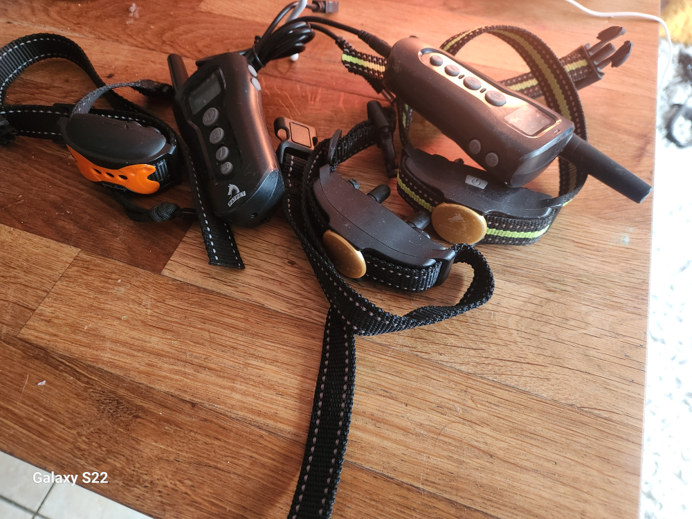 Dog Training Package: Collars, Remote, Harness & Muzzle
