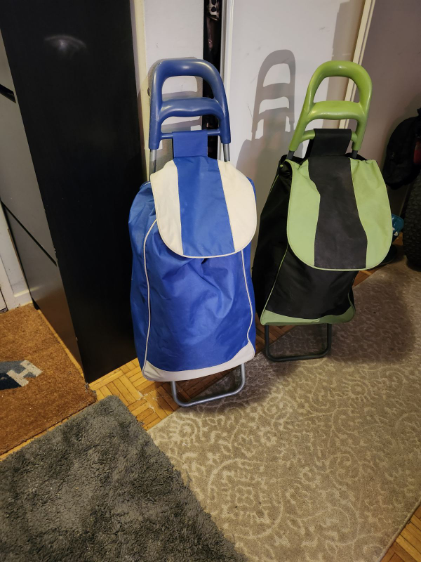 Pair of Shopping Carts - Blue & Green - photo 2