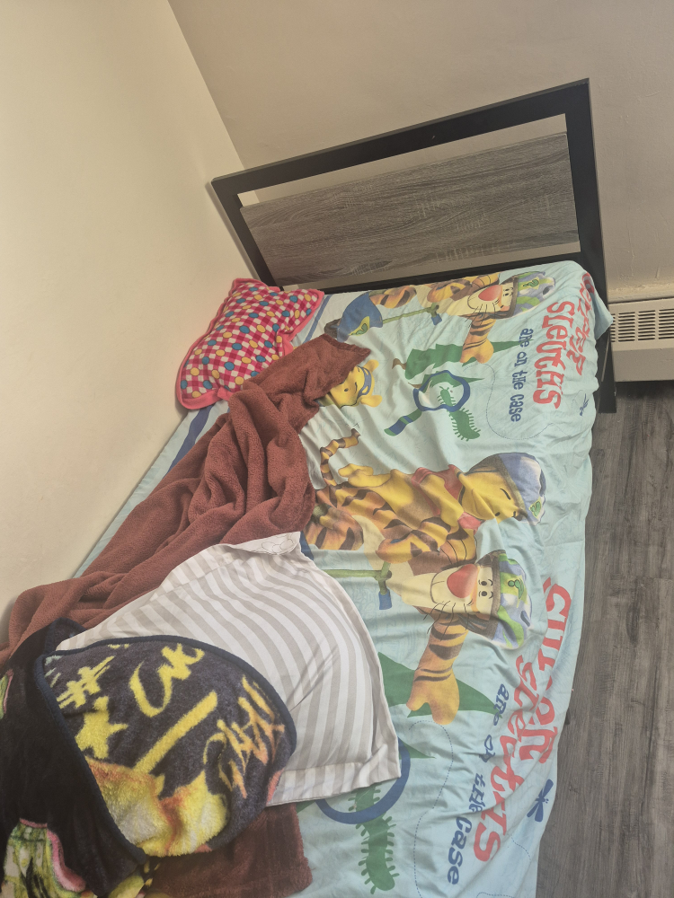 Twin-size bed frame