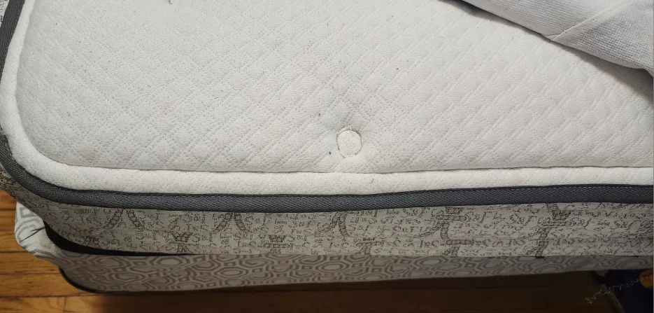 Double Mattress and Box Spring , cushioned mattress cover image indicator(2)