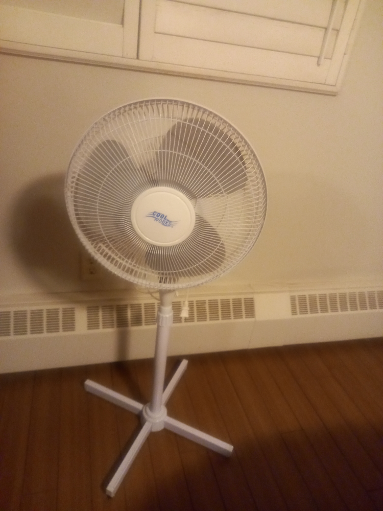 Pedestal Fan White