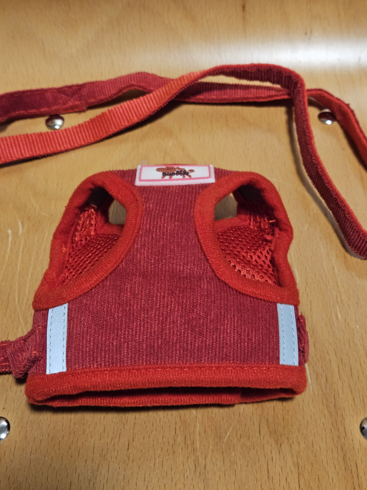 Red Pet Harness and Leash, Size XS