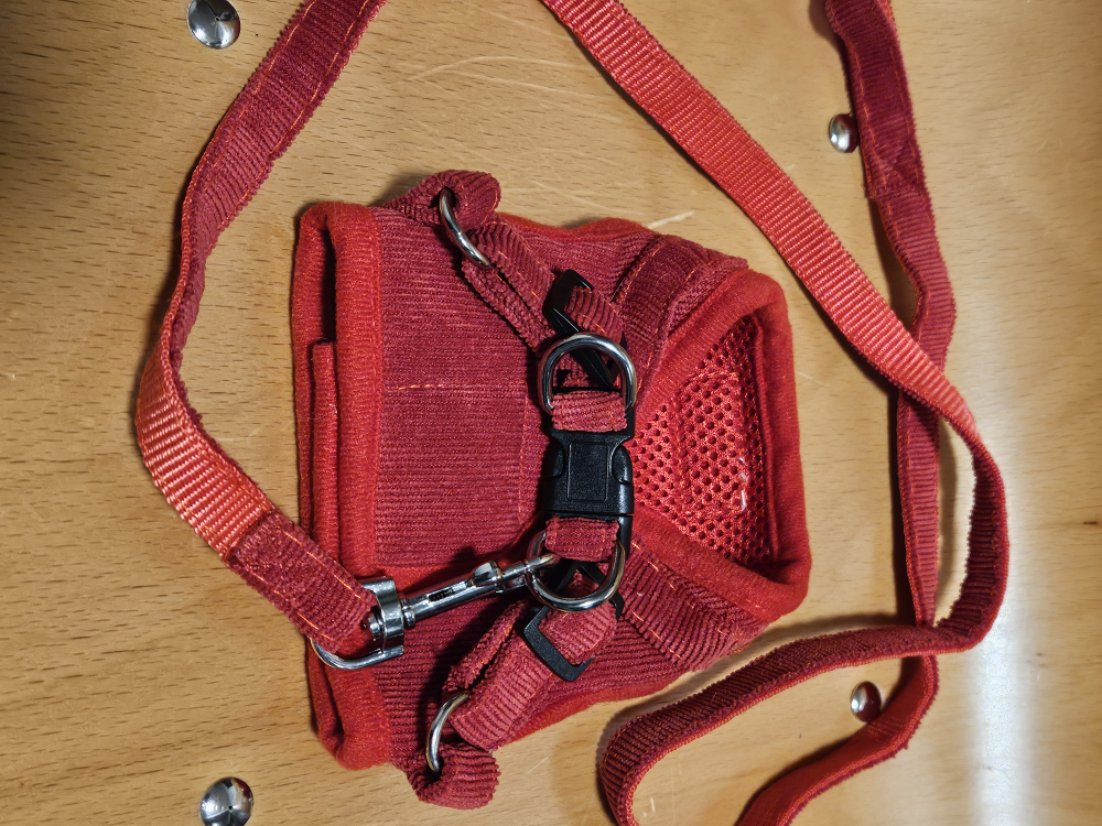 Red Pet Harness and Leash, Size XS - photo 2