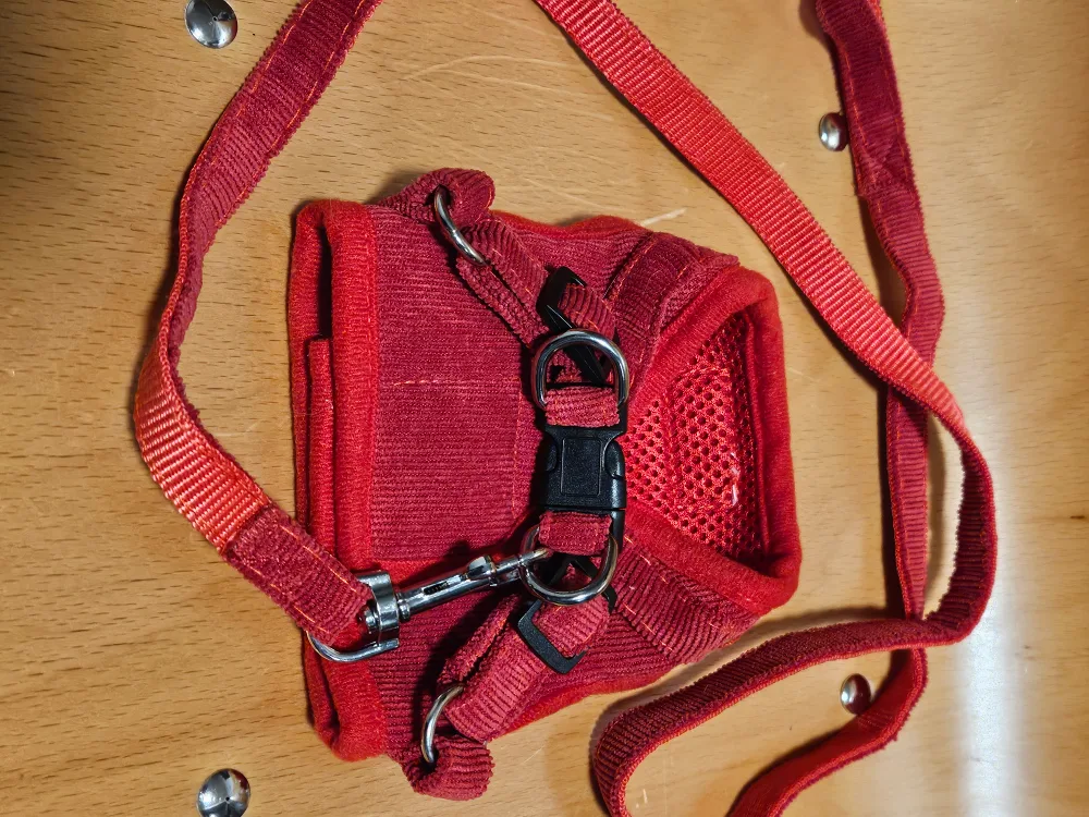 Red Pet Harness and Leash, Size XS image indicator(2)