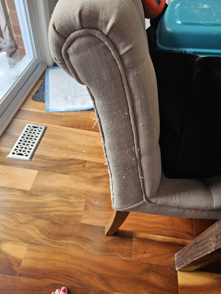 🧡 Beige Upholstered Dining Chair - photo 4