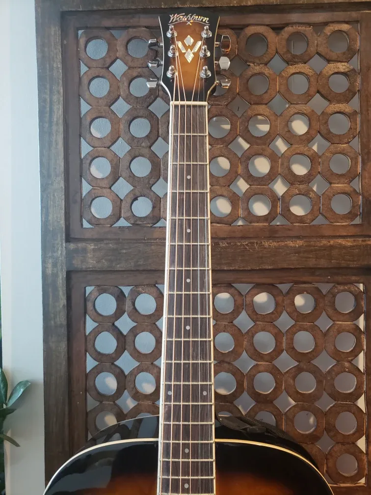 Washburn Acoustic Guitar & Accessories image indicator(5)