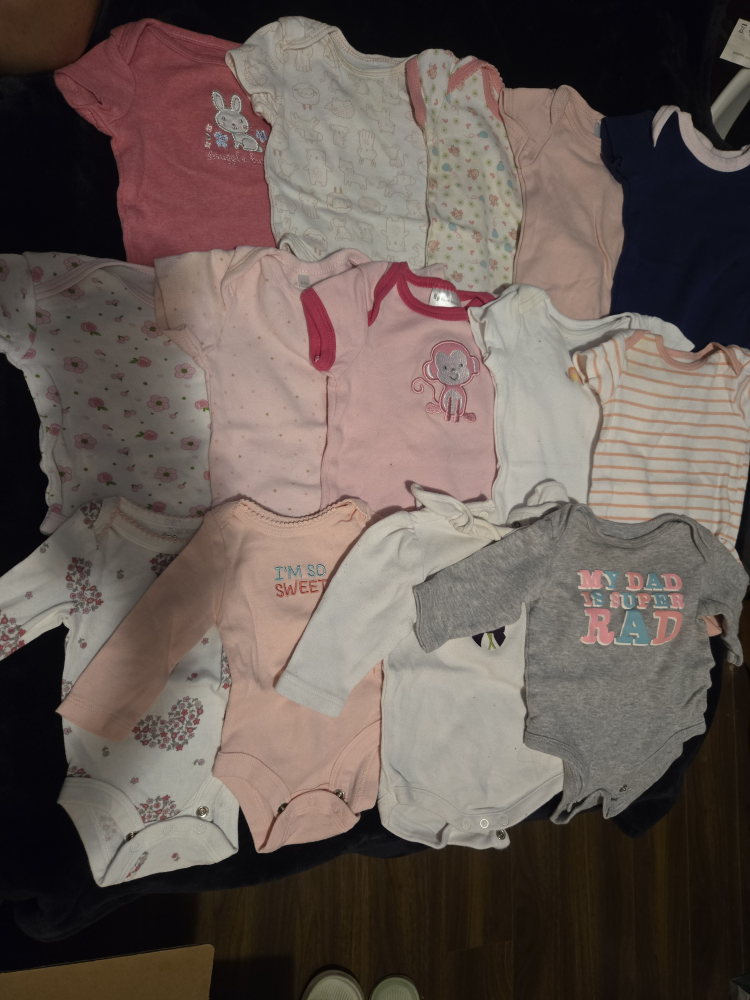 Baby Girl Clothes Bundle - 15+ Pieces!