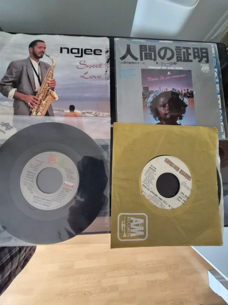 Collection of 45 RPM Vinyl Singles image indicator(7)