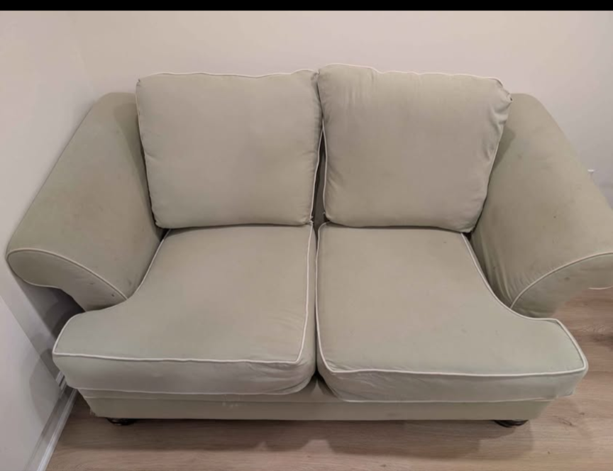 Pet free Sofa