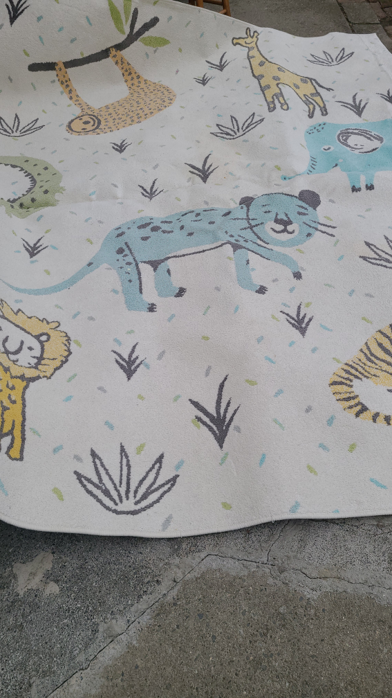 large Living Room Rug