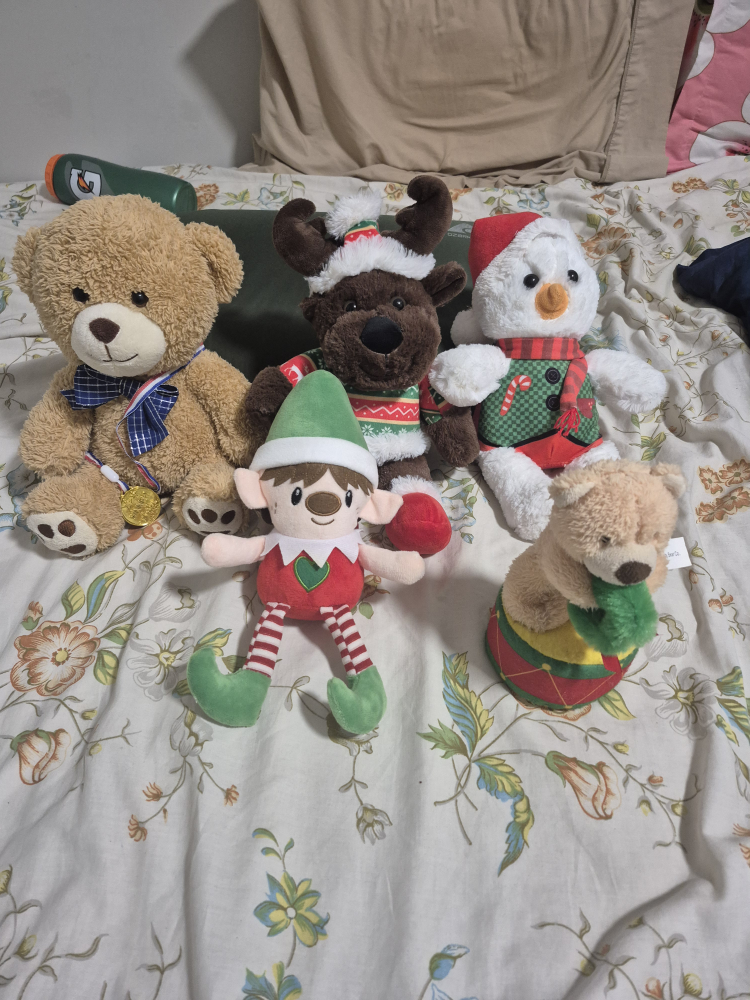 Plush Toys/ soft toys/ Teddy Bear