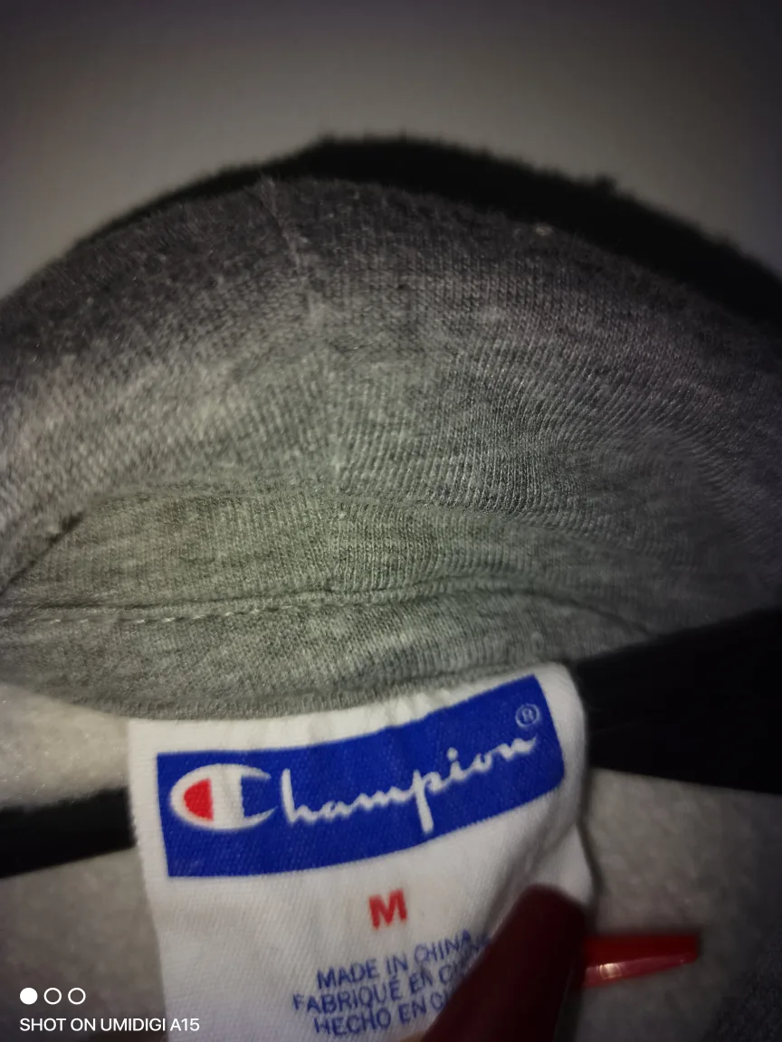 Grey Champion Hoodie image indicator(2)