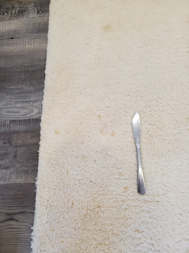 Cream-coloured Shaggy Rug with Fringe image indicator(3)