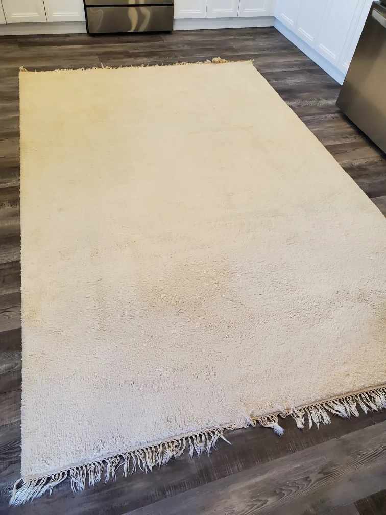 Cream-coloured Shaggy Rug with Fringe image indicator(6)