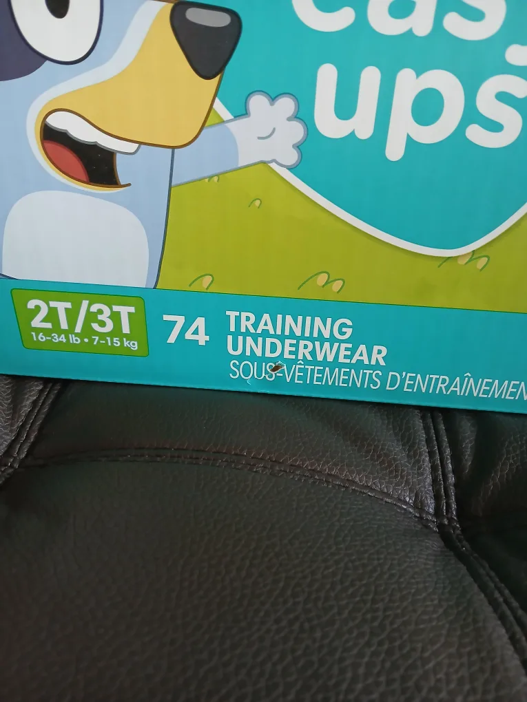 EASY UPS 74 Pampers 2T-3T #freecycle image indicator(2)