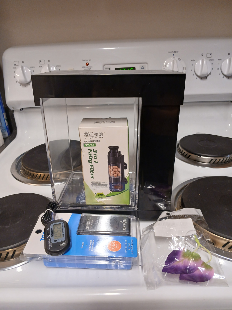Small aquarium kit with filter, thermometer, and decorations