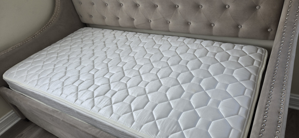 Twin-Size Velvet Daybed with Trundle - photo 3