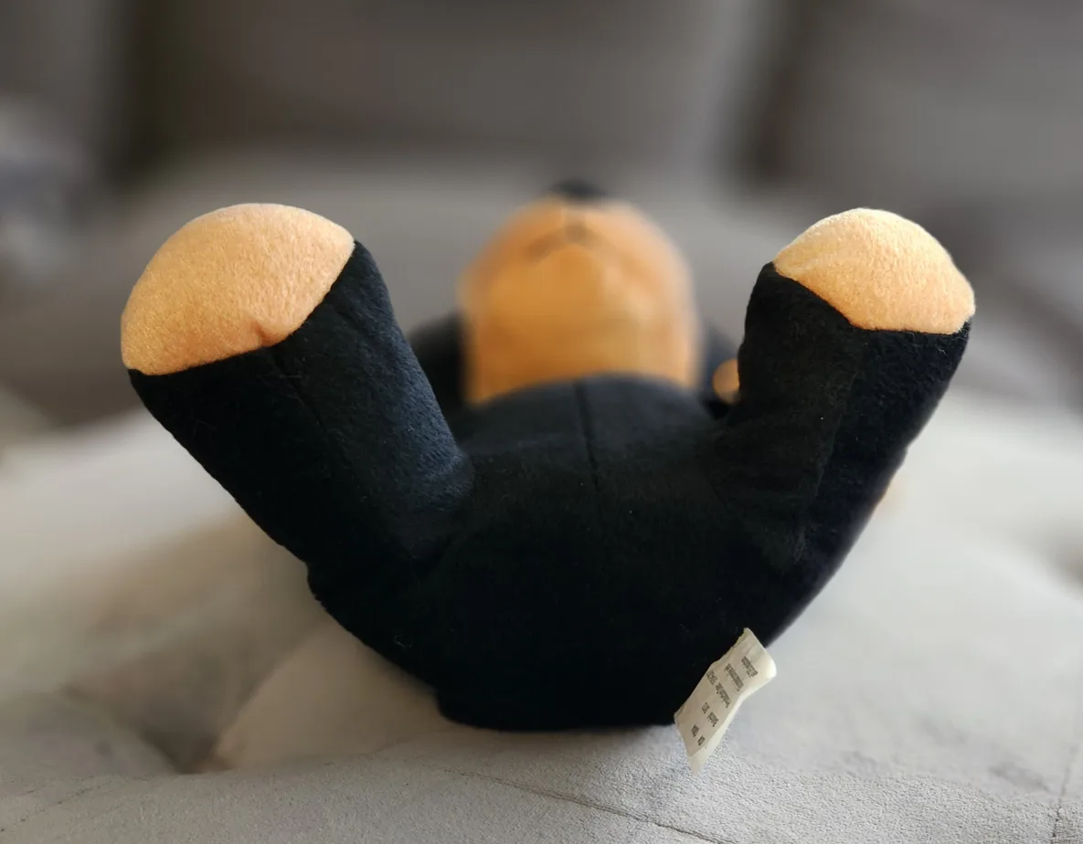 Adorable Black Plush Puppy Dog Toy image indicator(6)