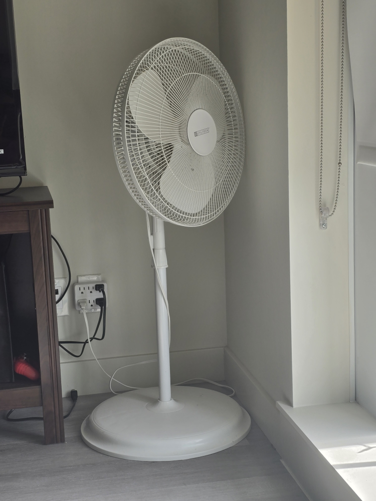 White Oscillating Stand Fan