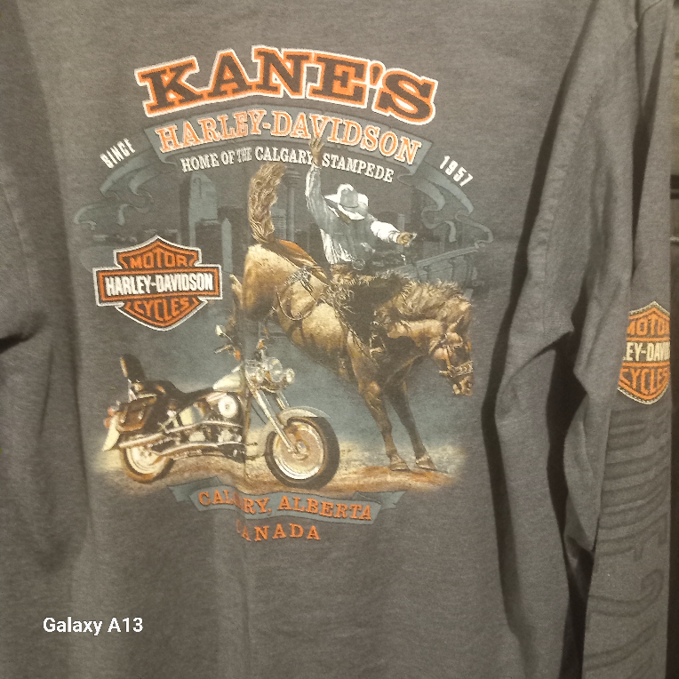 Harley-Davidson Long Sleeve T-Shirts - photo 3