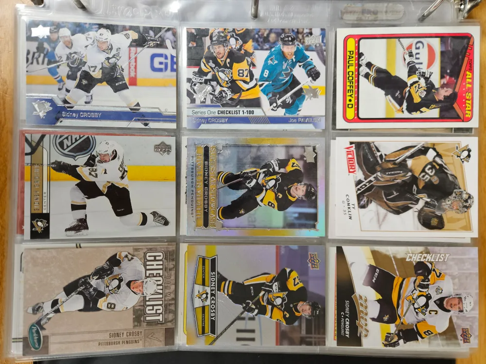 Hockey card collection - 5,000+ cards image indicator(9)