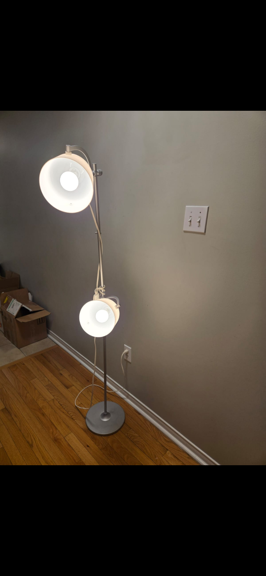 Double-Head Adjustable Floor Lamp