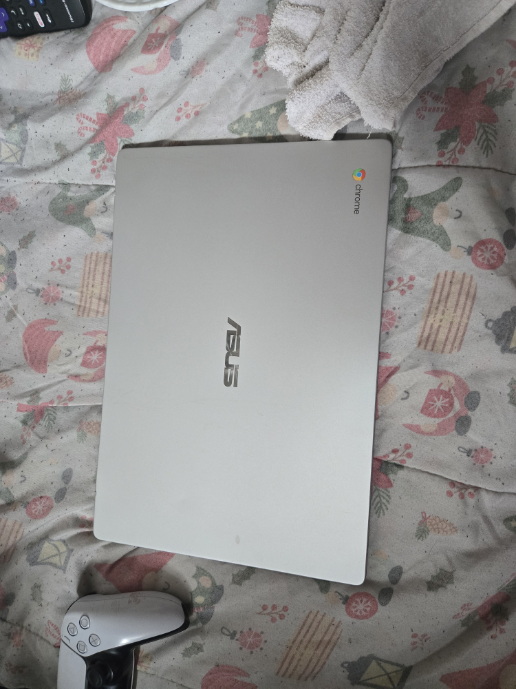 ASUS Chromebook - Silver