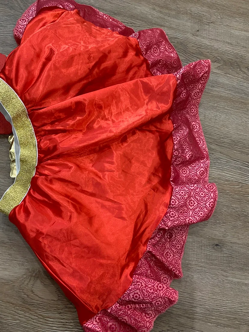 Disney Princess Elena Costume - Size Small image indicator(3)